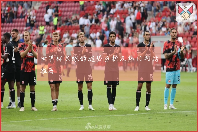 世界杯买球的趋势分析及热门网站推荐